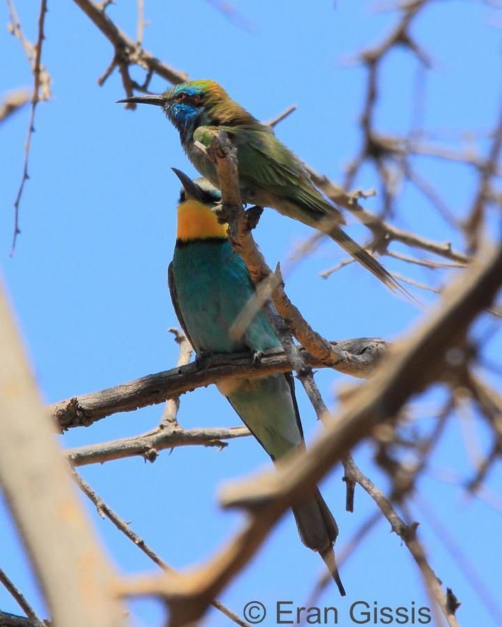 Jordan Valley Birding Lodge Kefar Ruppin Zewnętrze zdjęcie