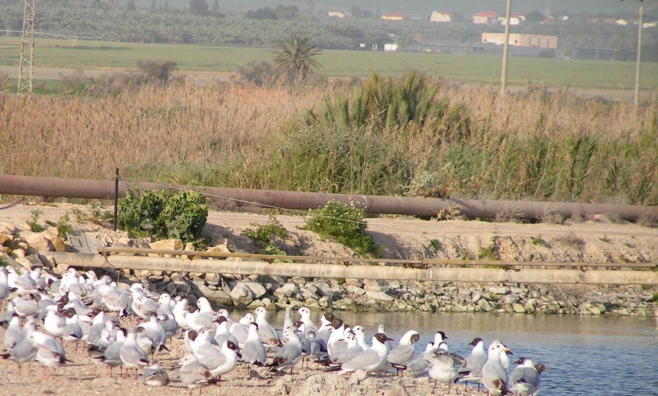 Jordan Valley Birding Lodge Kefar Ruppin Zewnętrze zdjęcie