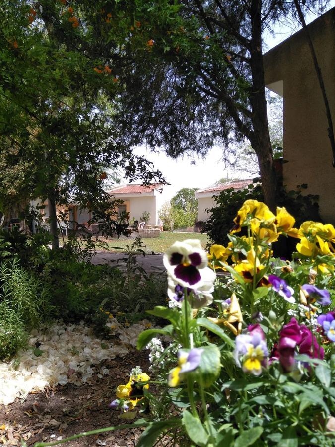 Jordan Valley Birding Lodge Kefar Ruppin Zewnętrze zdjęcie